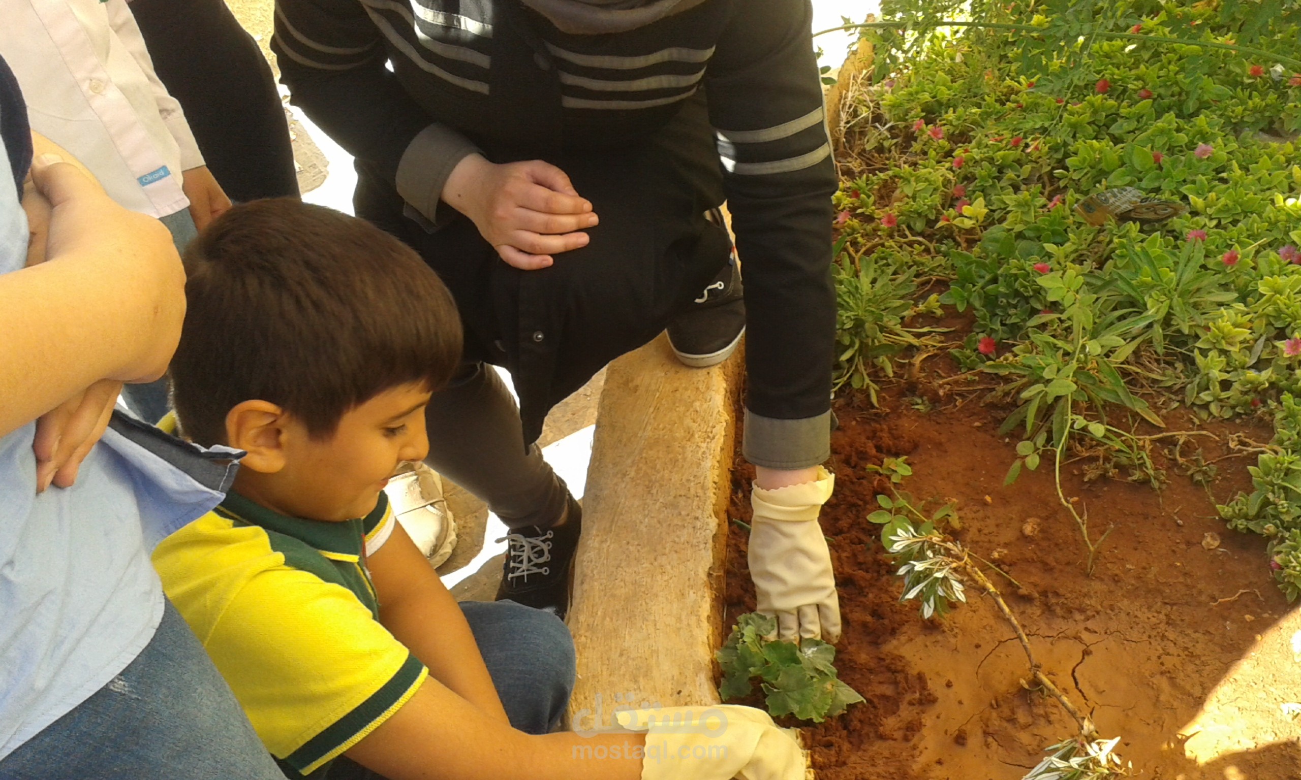 بحث تربوي لنيل درجة الدكتوراه في السلامة المهنية