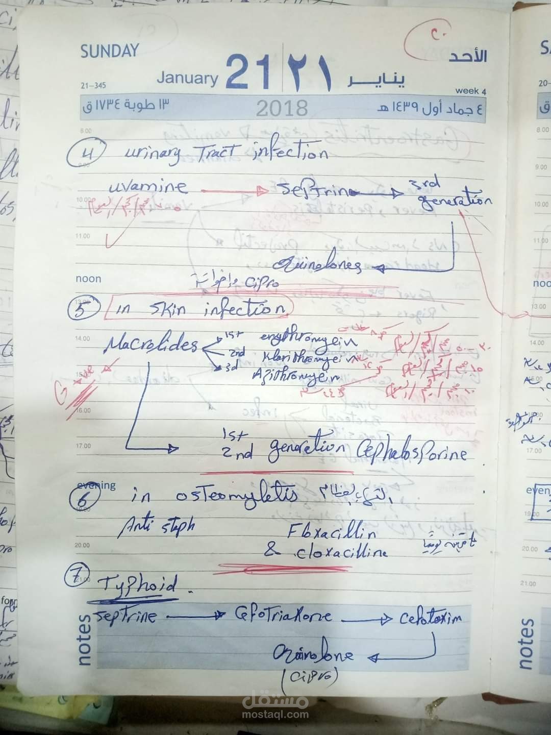 شرح المحاضرات بمكتبة الجامعة مادة الاحياء المجهرية