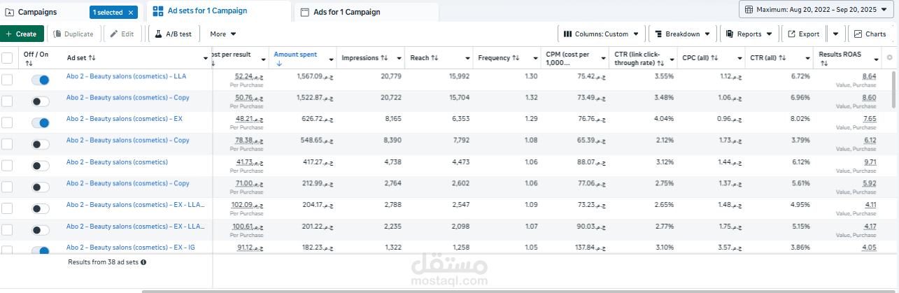 Facebook Ads Results - Footwear