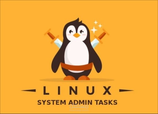 إعداد وتجهيز مخدم Linux داخلي لاستضافة مجموعة مواقع لشركة محلية