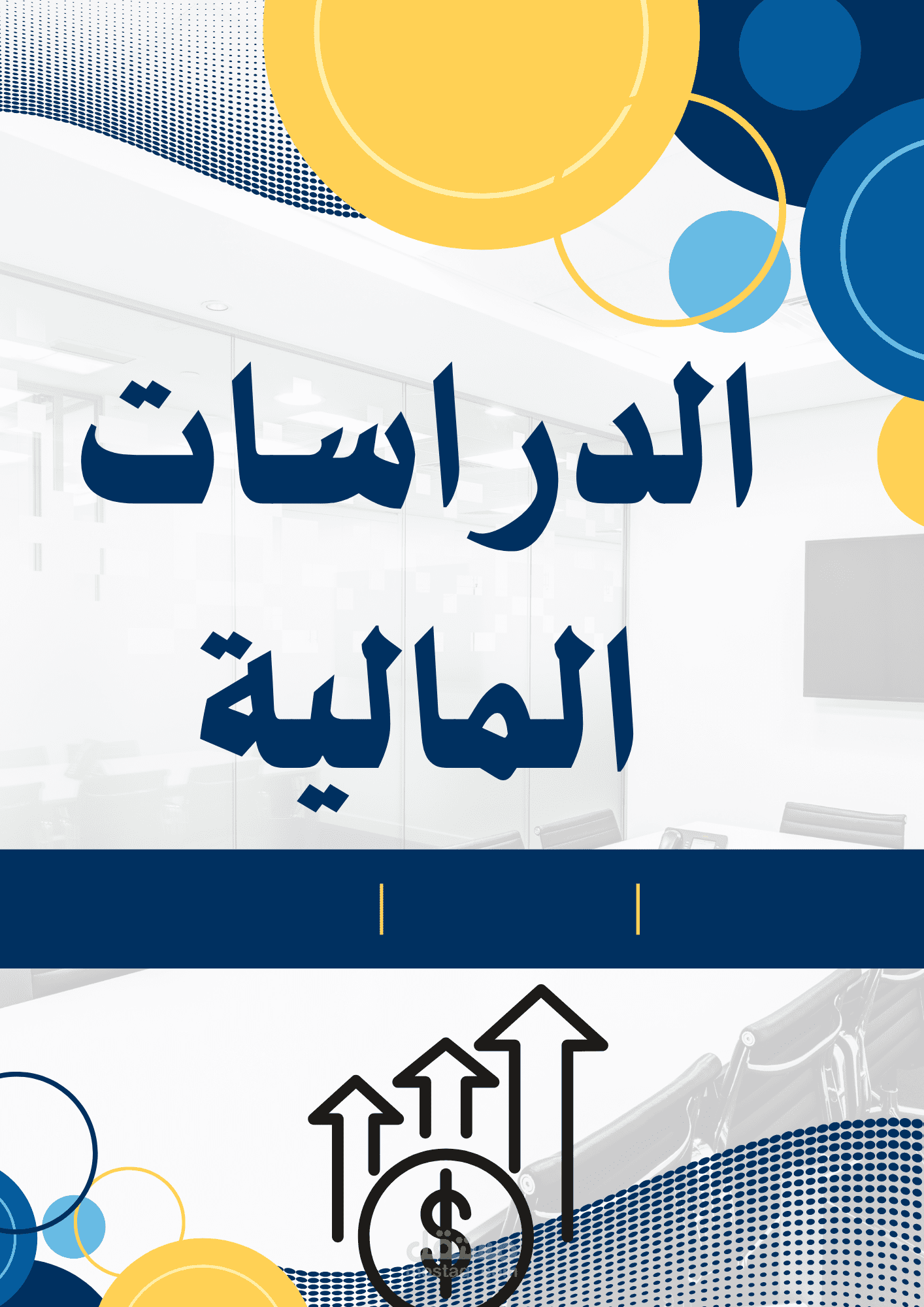 إعداد الدراسات المالية بدقة بالغة و إحترافية ( Excel + Word )