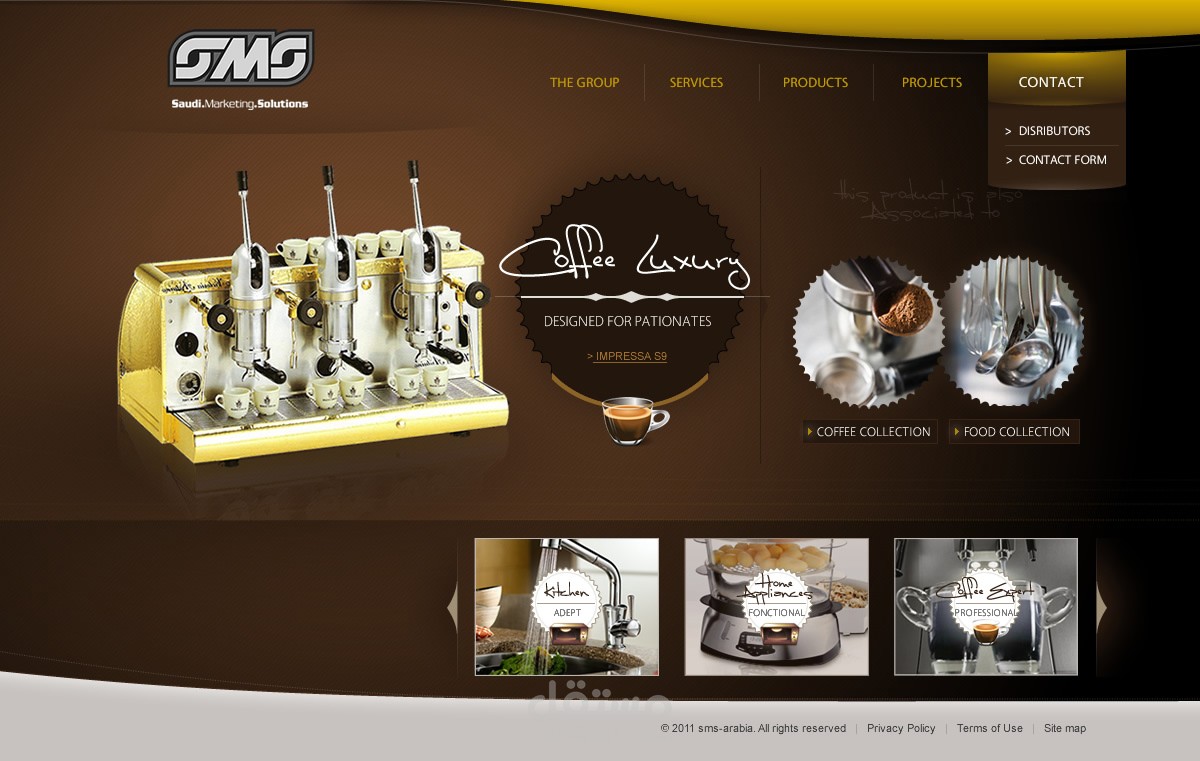 SMS website