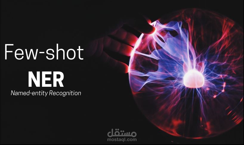 NER-With-Few-Shot-Learning