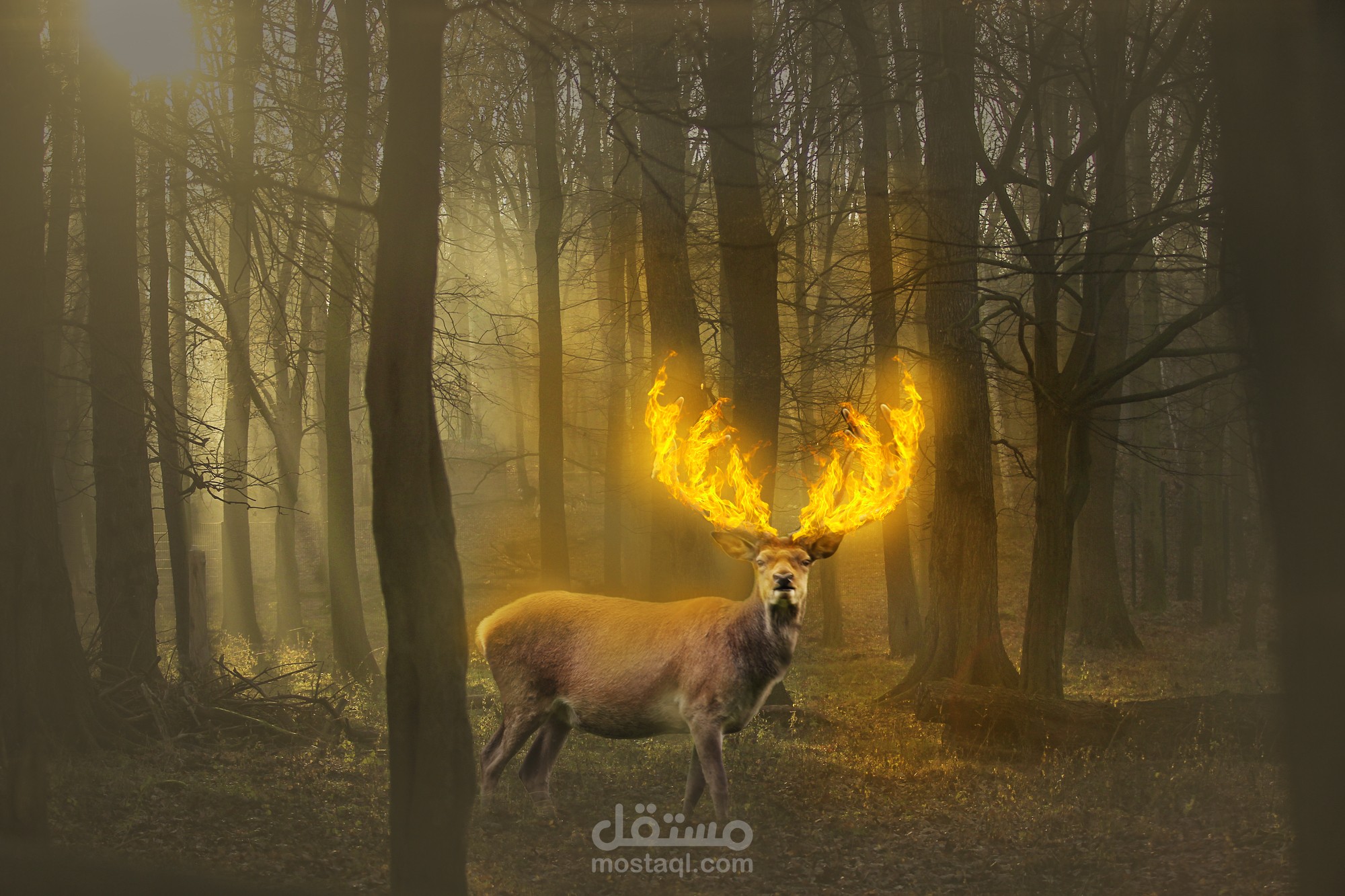تصميم