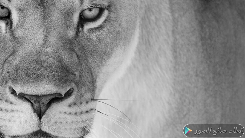 هذ الصورة من تصميمي
