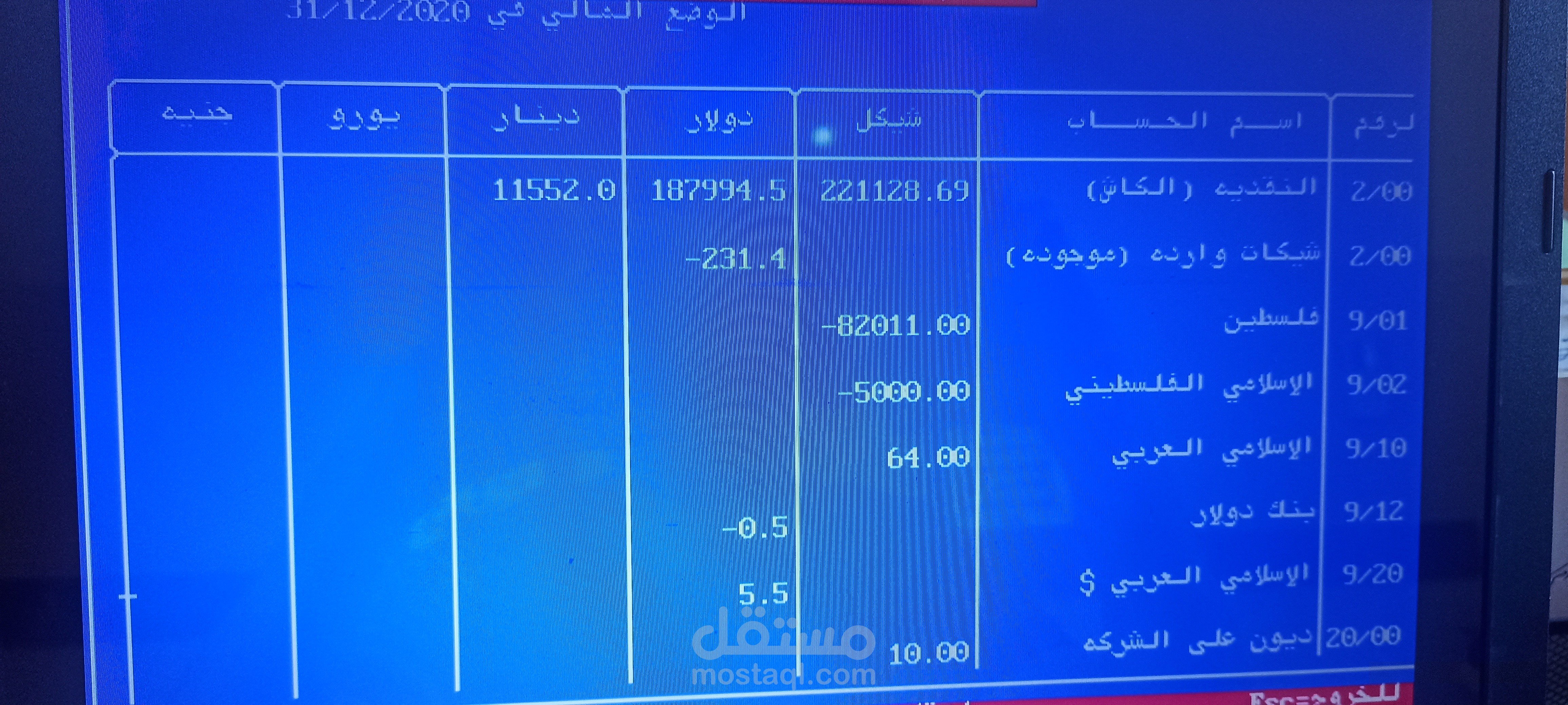 محاسب عن بعد لتنظيم اعمالك المالية