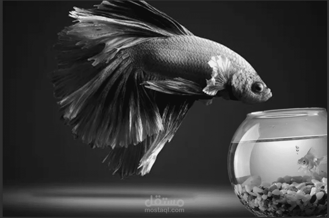Flying fish