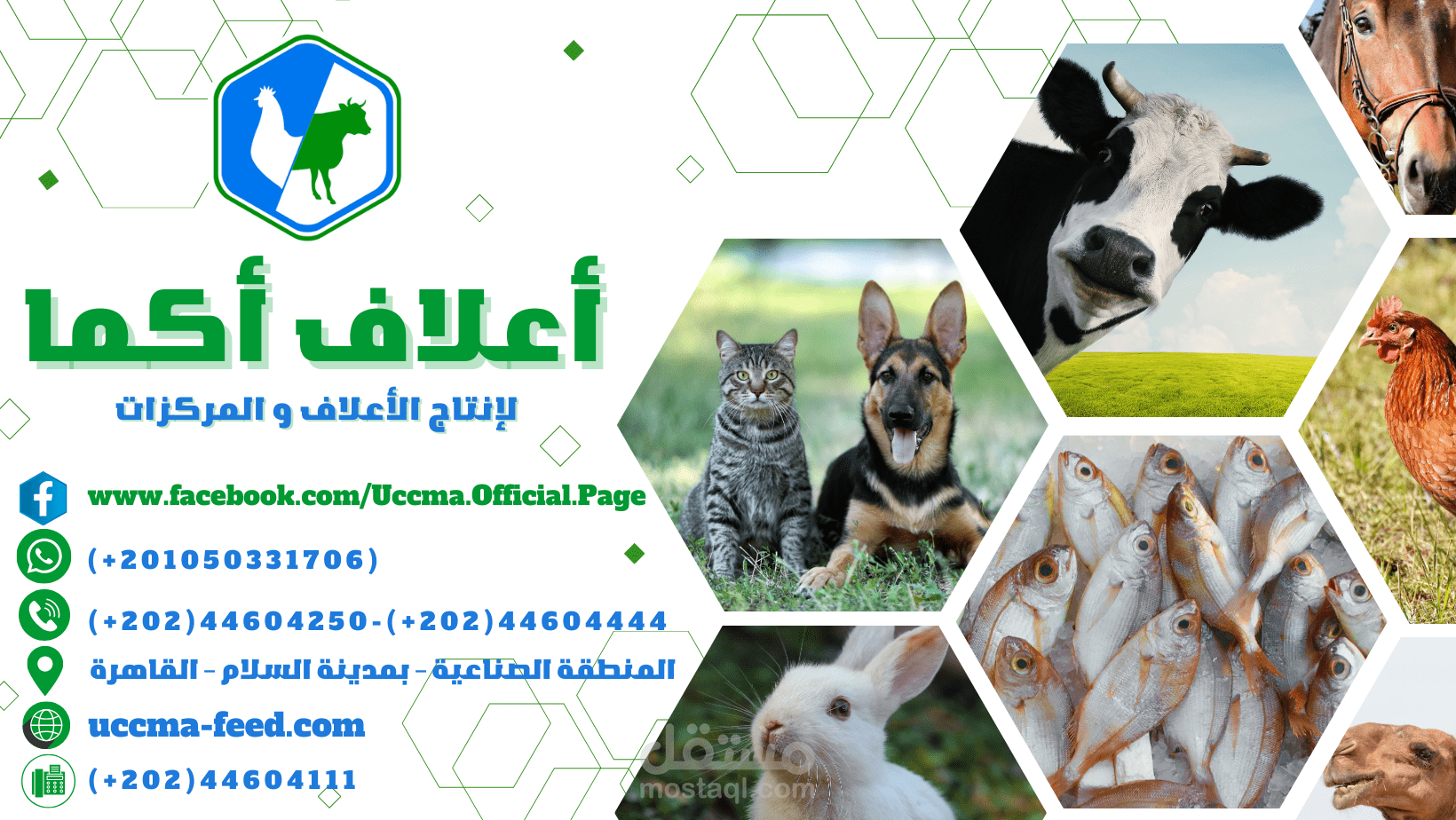 عمل غلاف دعائى لفيس بوك لمصنع أعلاف
