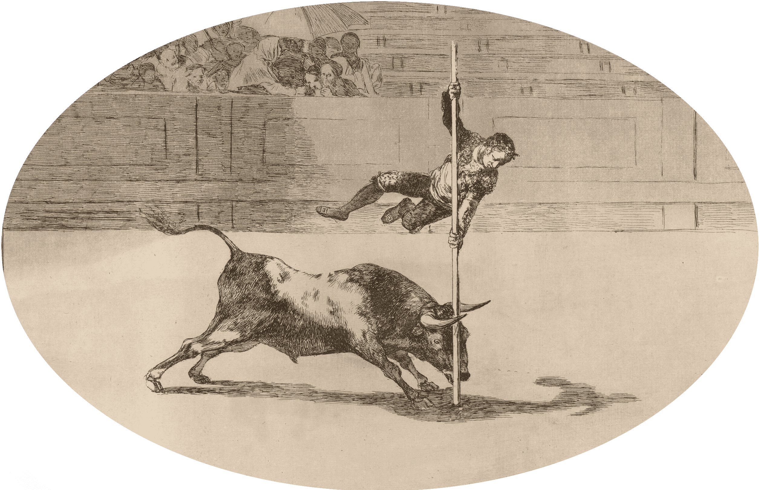 مصارعة الثيران: عادة أم مأساة؟