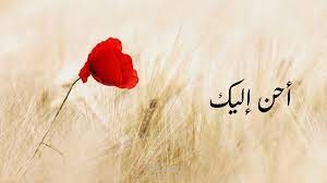 قصيدة أحن إليك