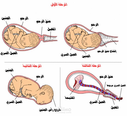 مقال طبى عن الولاده طبيعية باللغه الانجليزيه