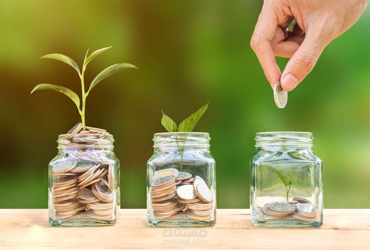 How to save money by investing on life insurance