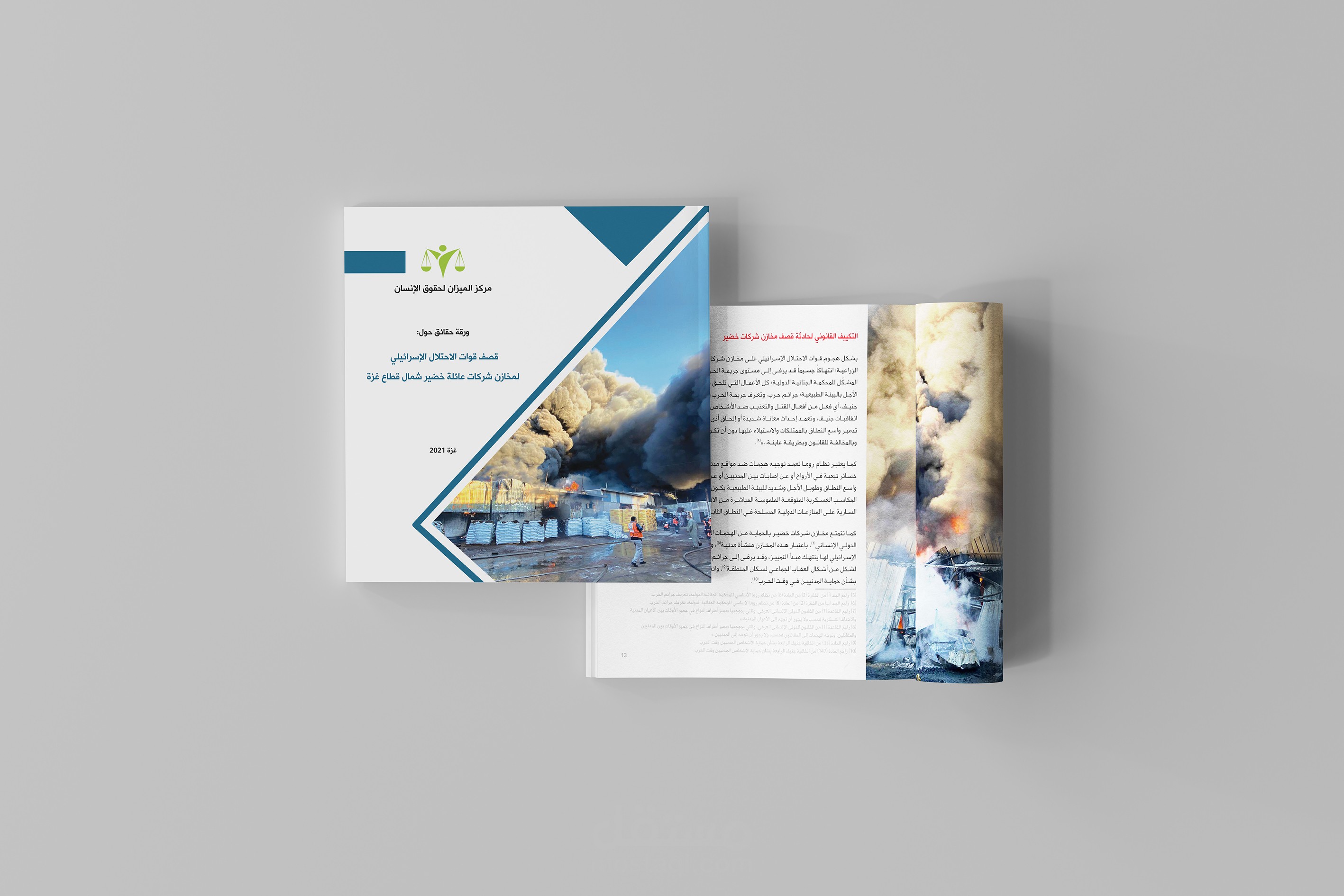 تصميم مجلة بعنوان ورقة حقائق تتكون من 42 صفحة