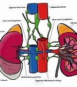 LYMPHATIC DRAINAGE