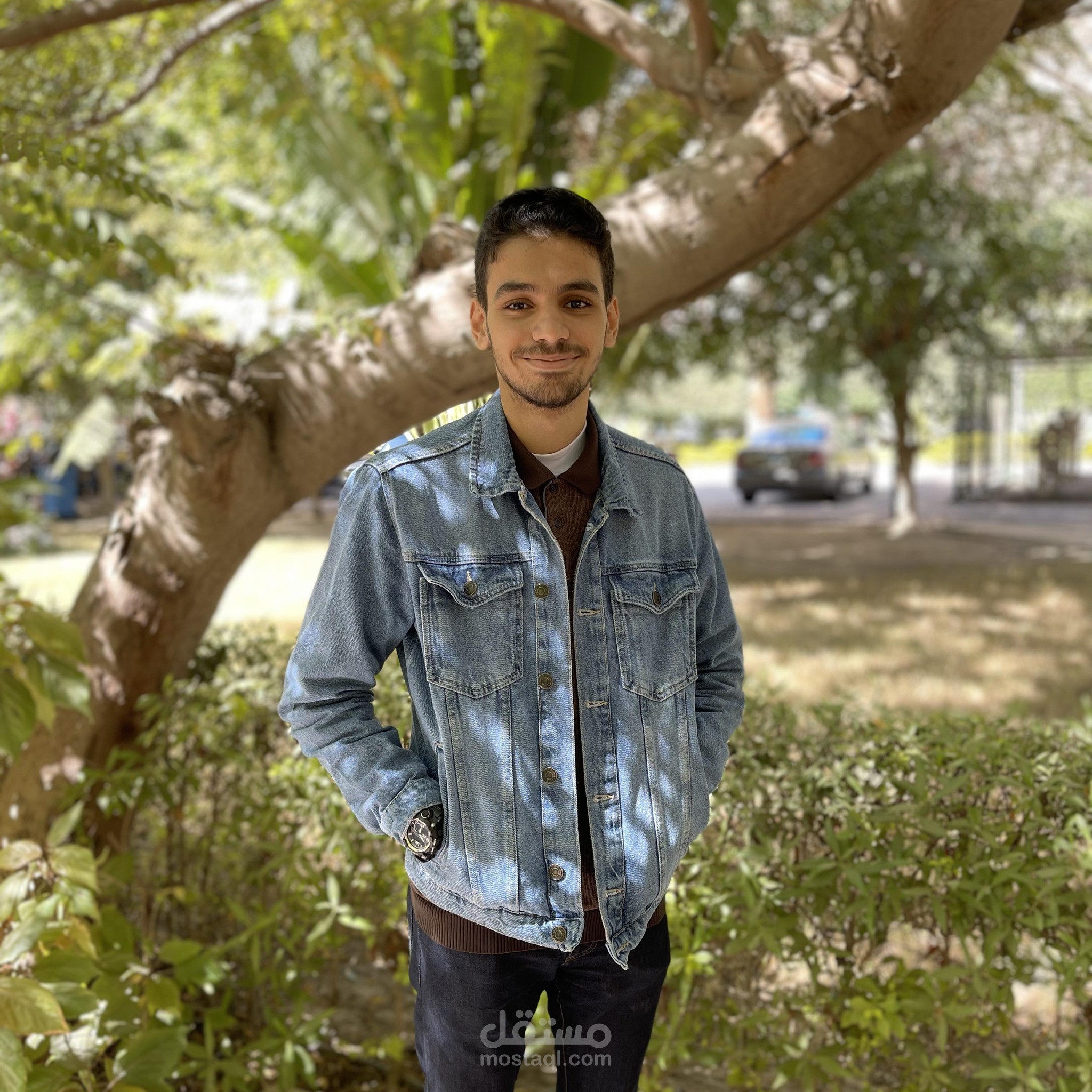 portfolio