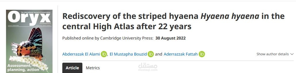 إعادة اكتشاف الضبع المخطط Hyaena hyaena في الأطلس الكبير الأوسط بعد 22 عاما