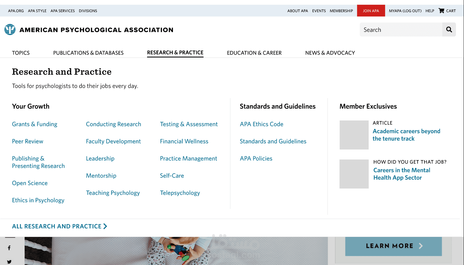 testing and developing APA Website