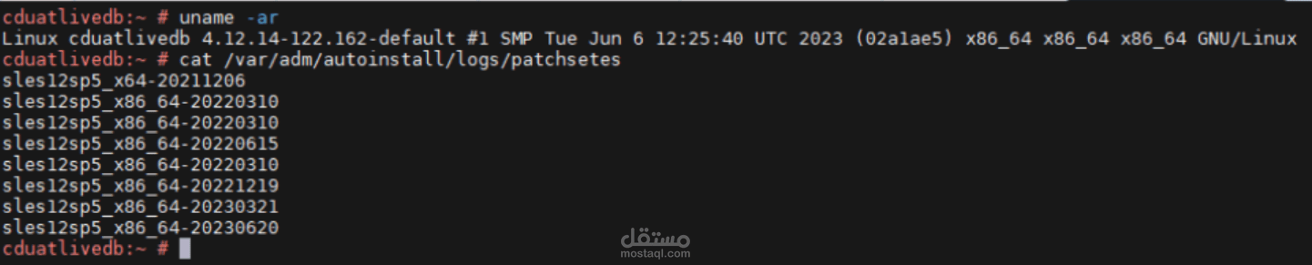 patching the SUSE servers