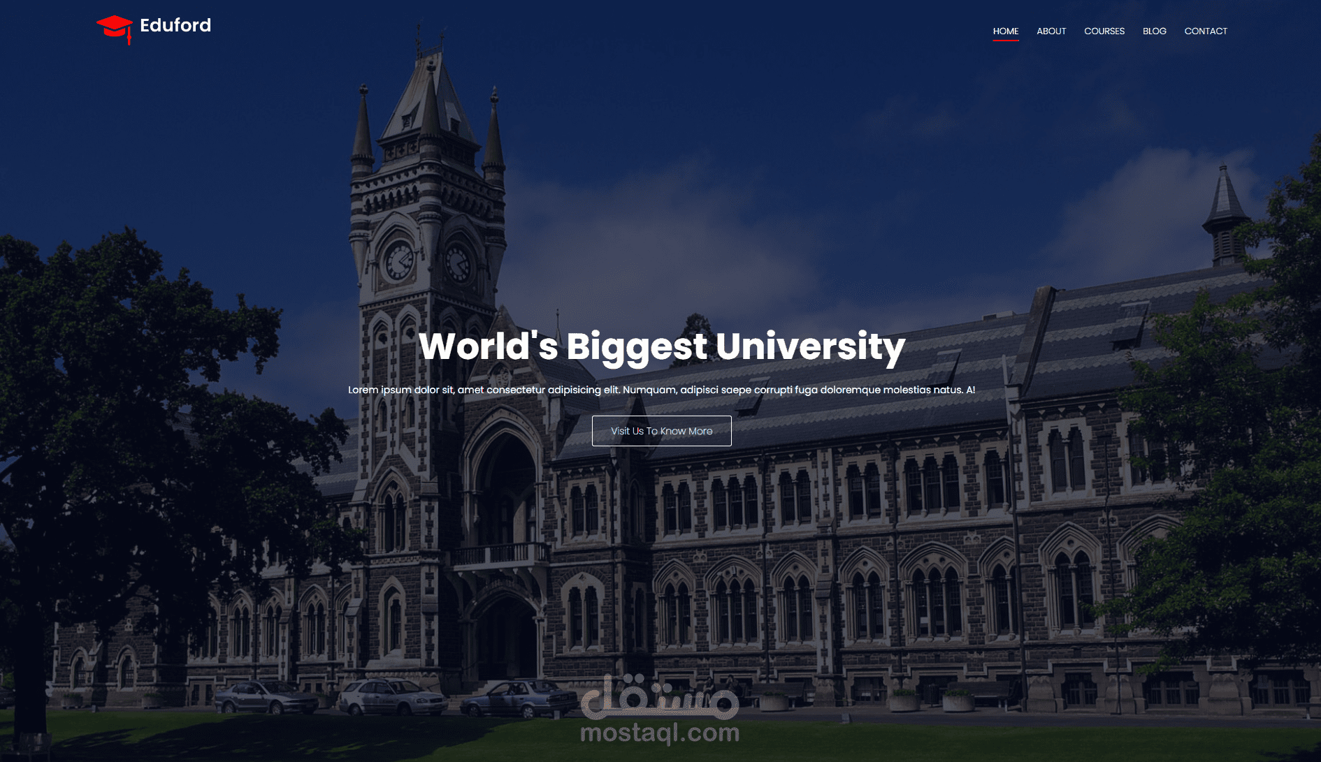 موقع Eduford، حيث نؤمن بأن التعليم هو أساس بناء المستقبل.