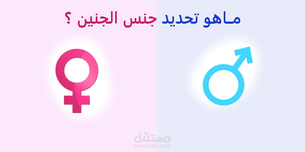 تحديد نوع الجنين