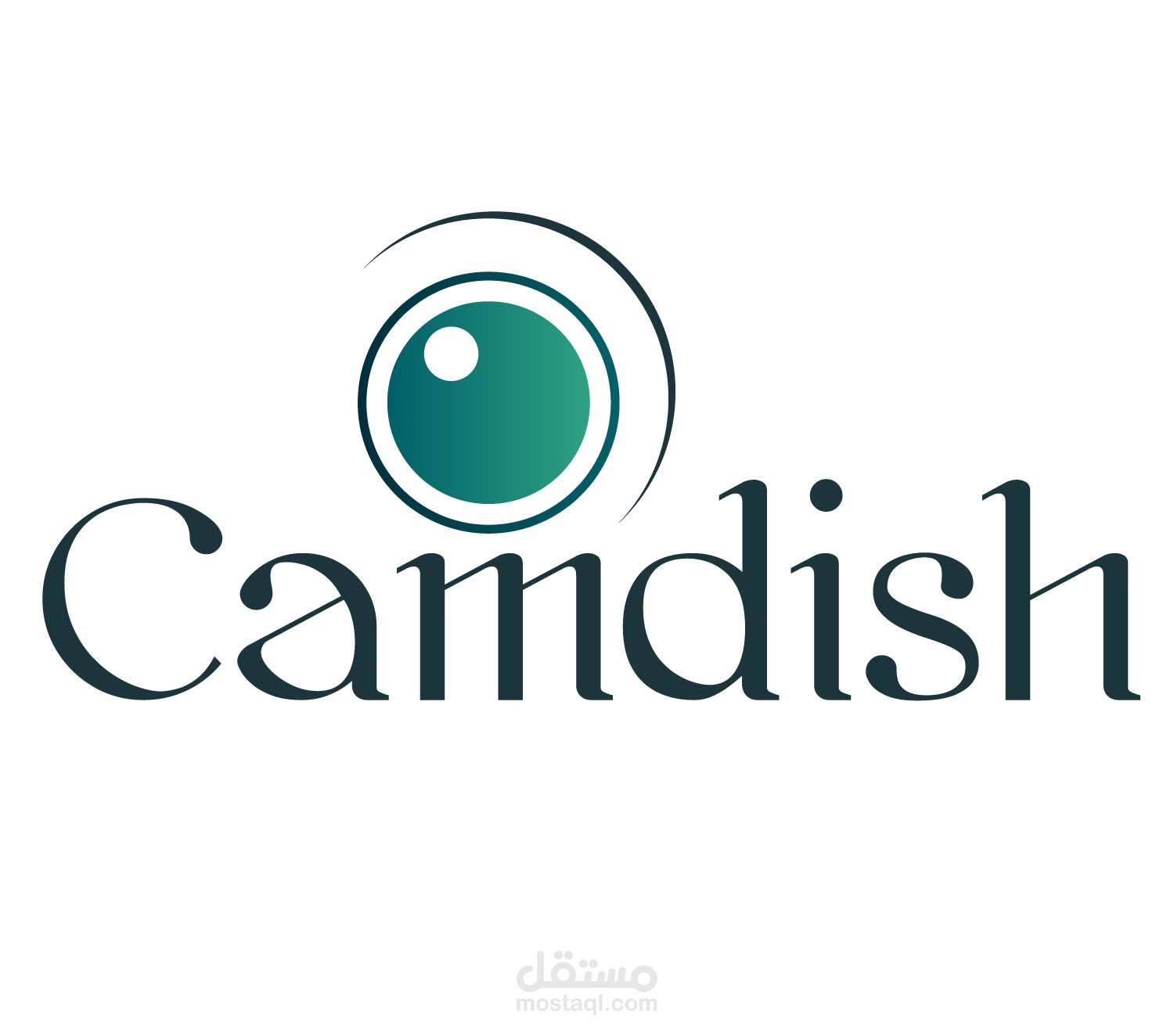 تصميم متجر سلة دروبشبينج