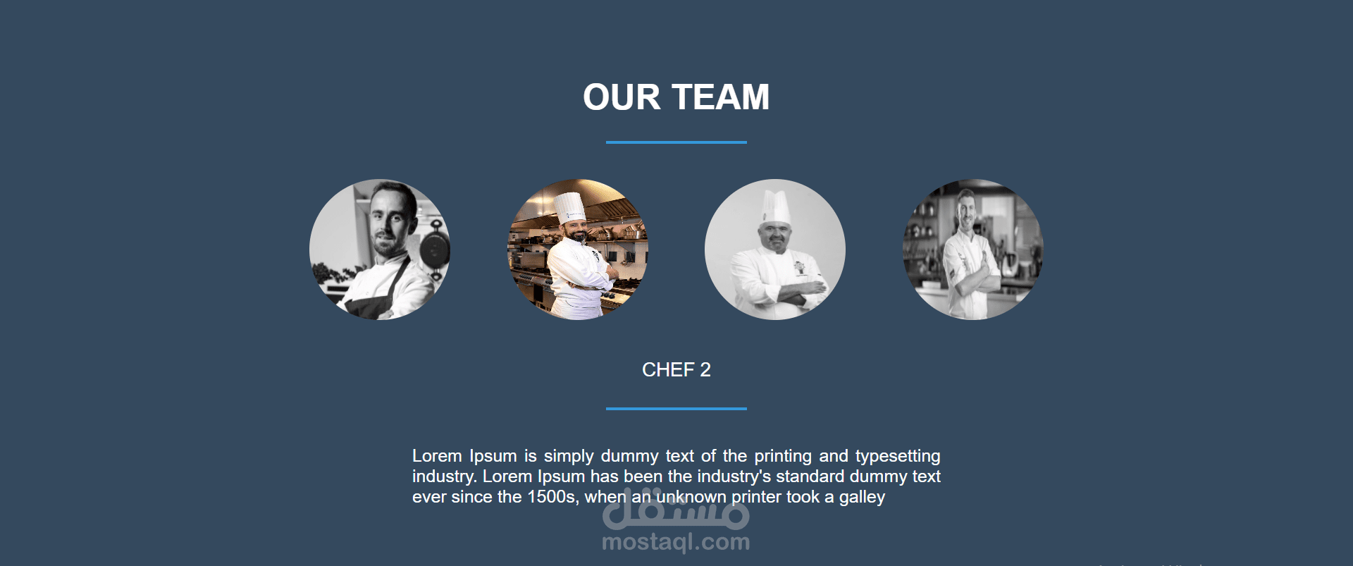 our team section