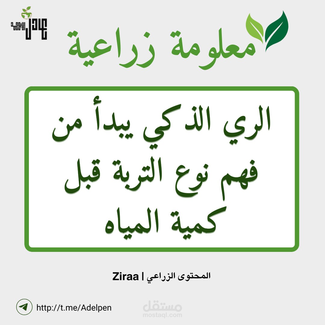 تصميم بوست معلومة زراعية مميز واحترافي