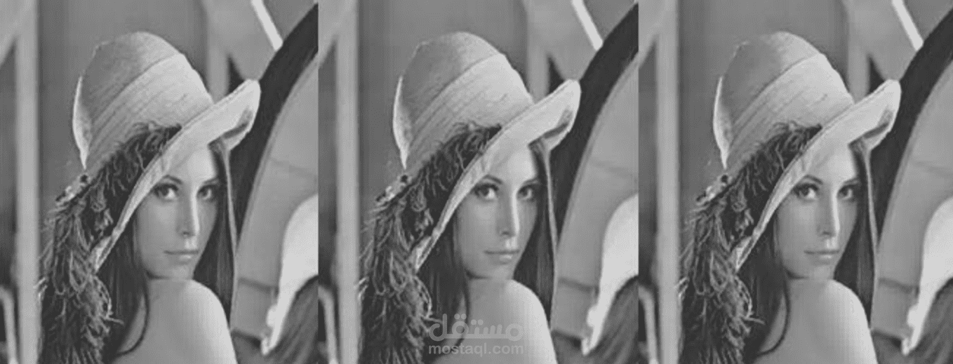 Fractal Image Compression with Genetic Algorithm