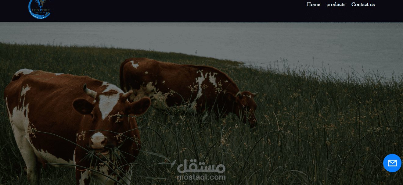 شركة ادوية بيطارية لكن سوف يحدث تعديل اخر علي شكل الويبسايت