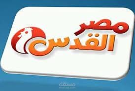 مراجع حسابات ومحلل مالي