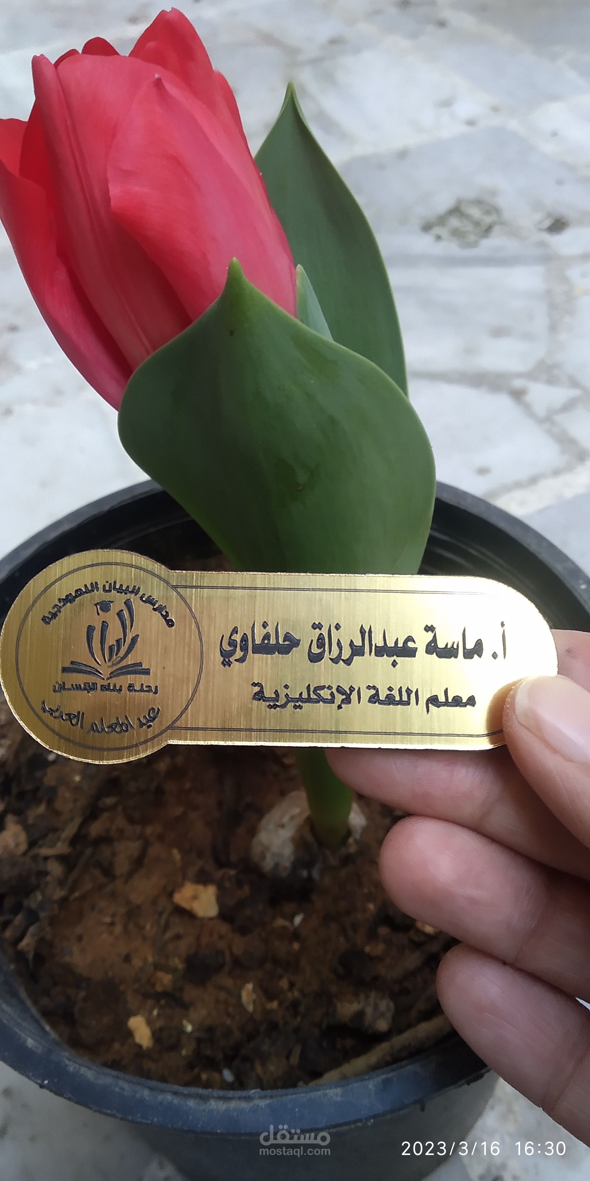كتابة الحرف على الرمل