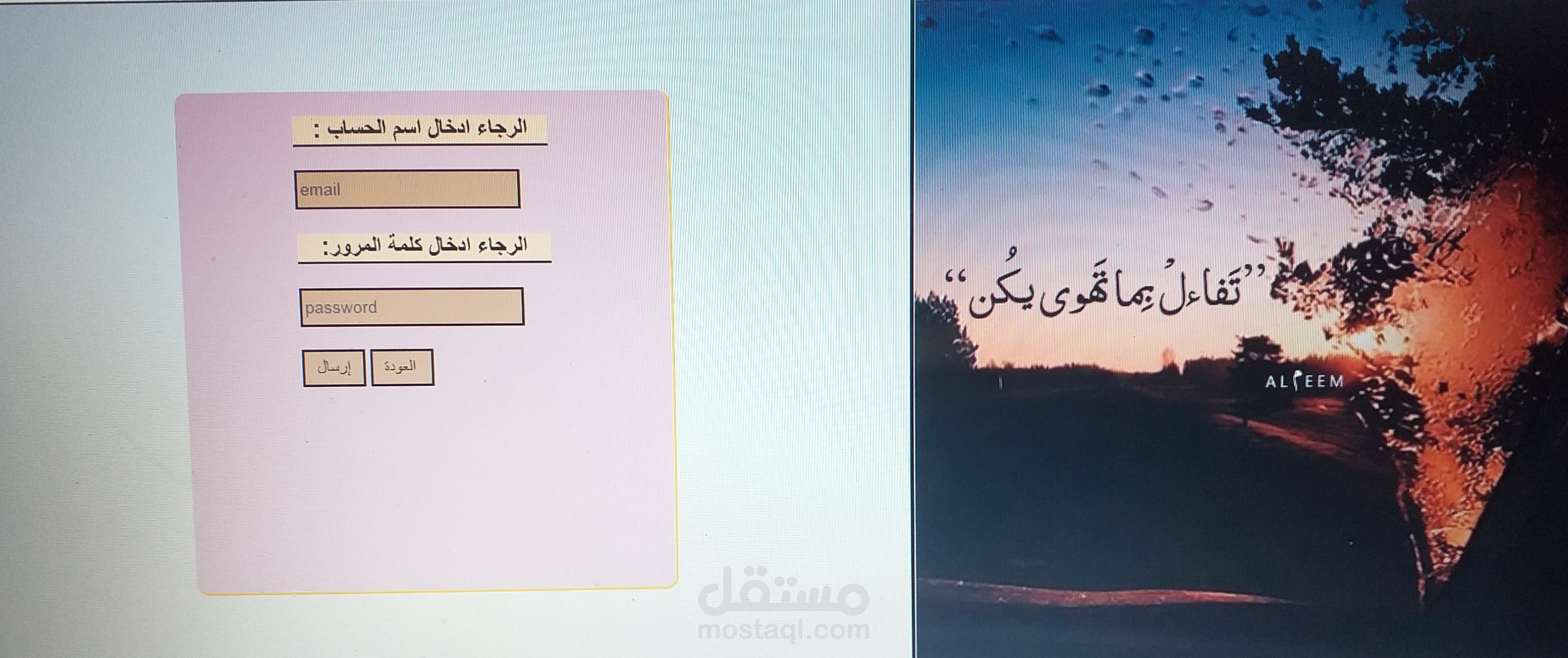 موقع الكتروني