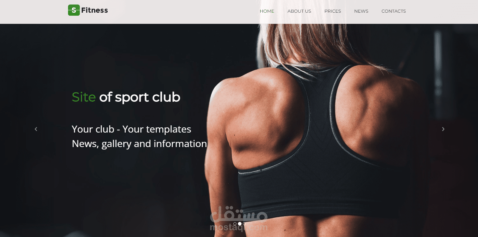 FITNESS Website