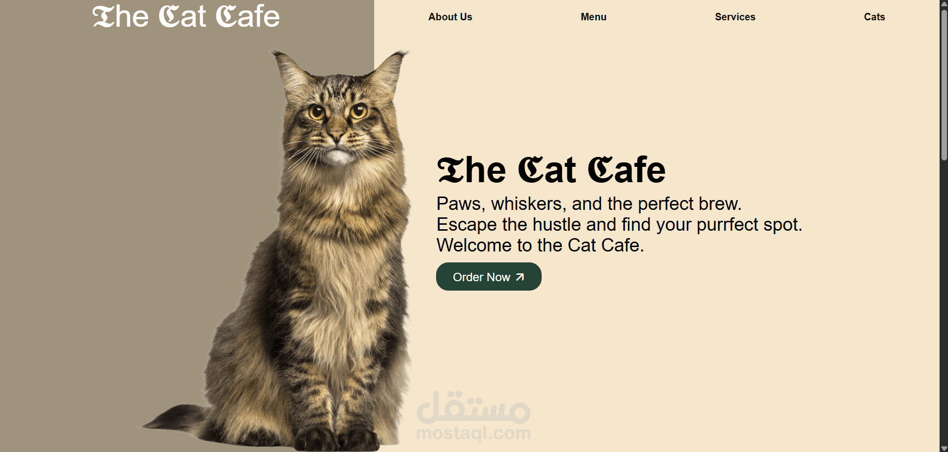 مقهى قطط وقهوة Cat Café Description