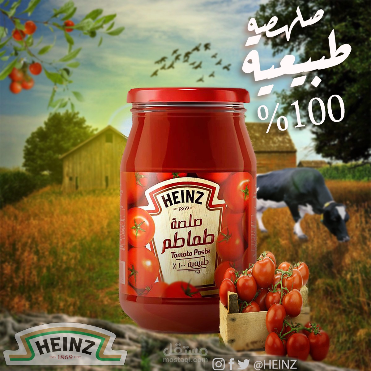 تصميمات باحترافية وتناسب جميع تخصصاتك