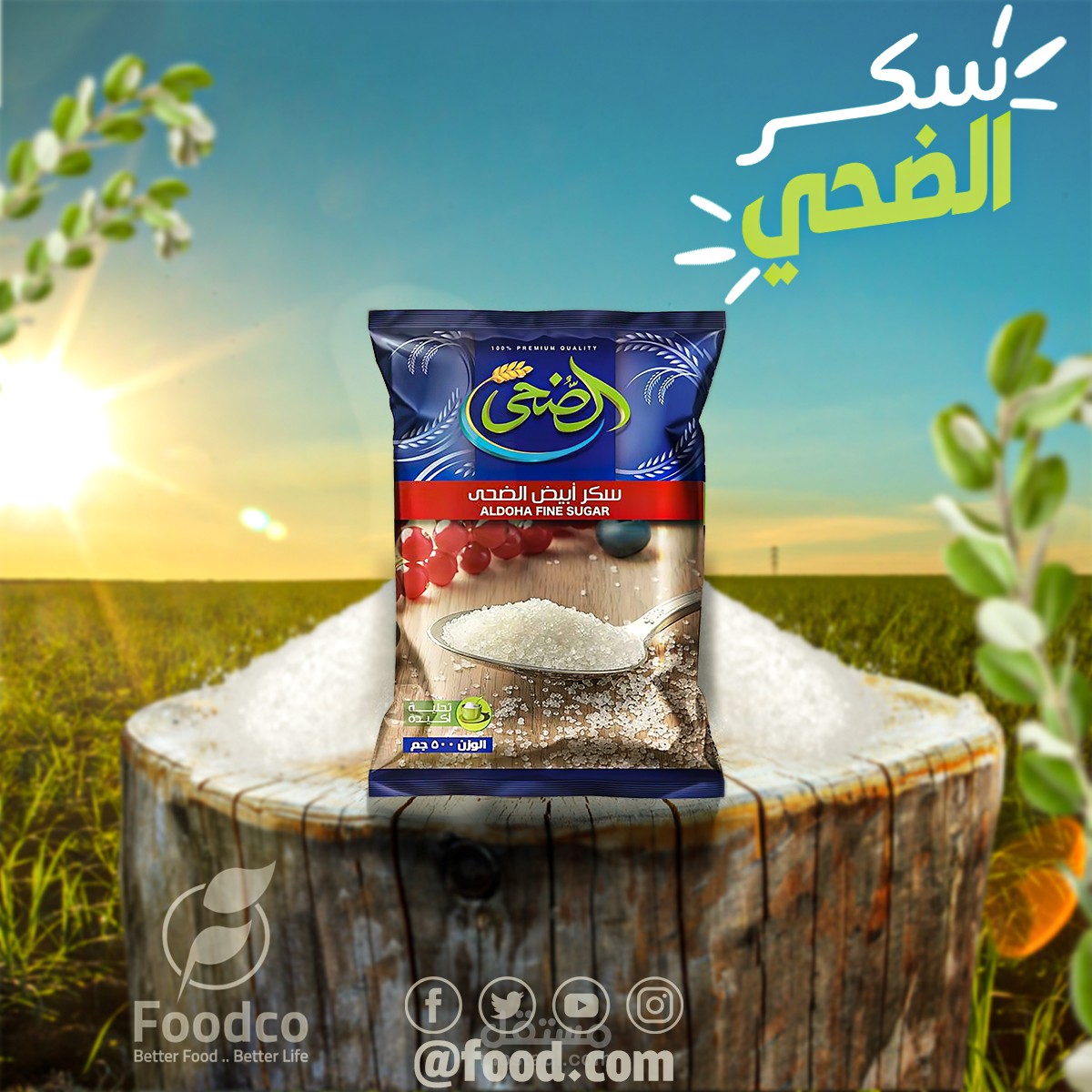 تصميم سوشيال ميديا جذاب بجوده متميزه