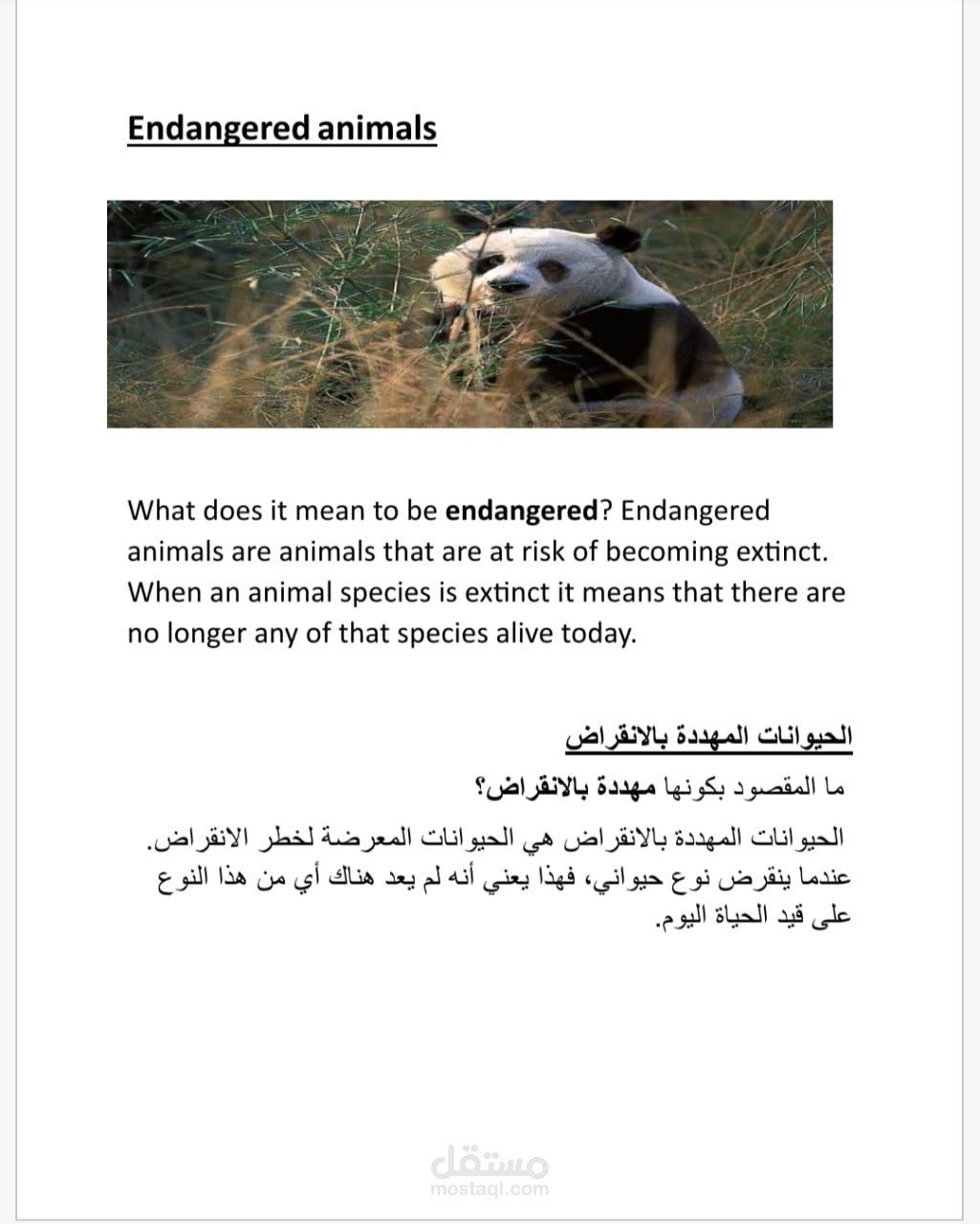 الحيوانات المهددة بالانقراض