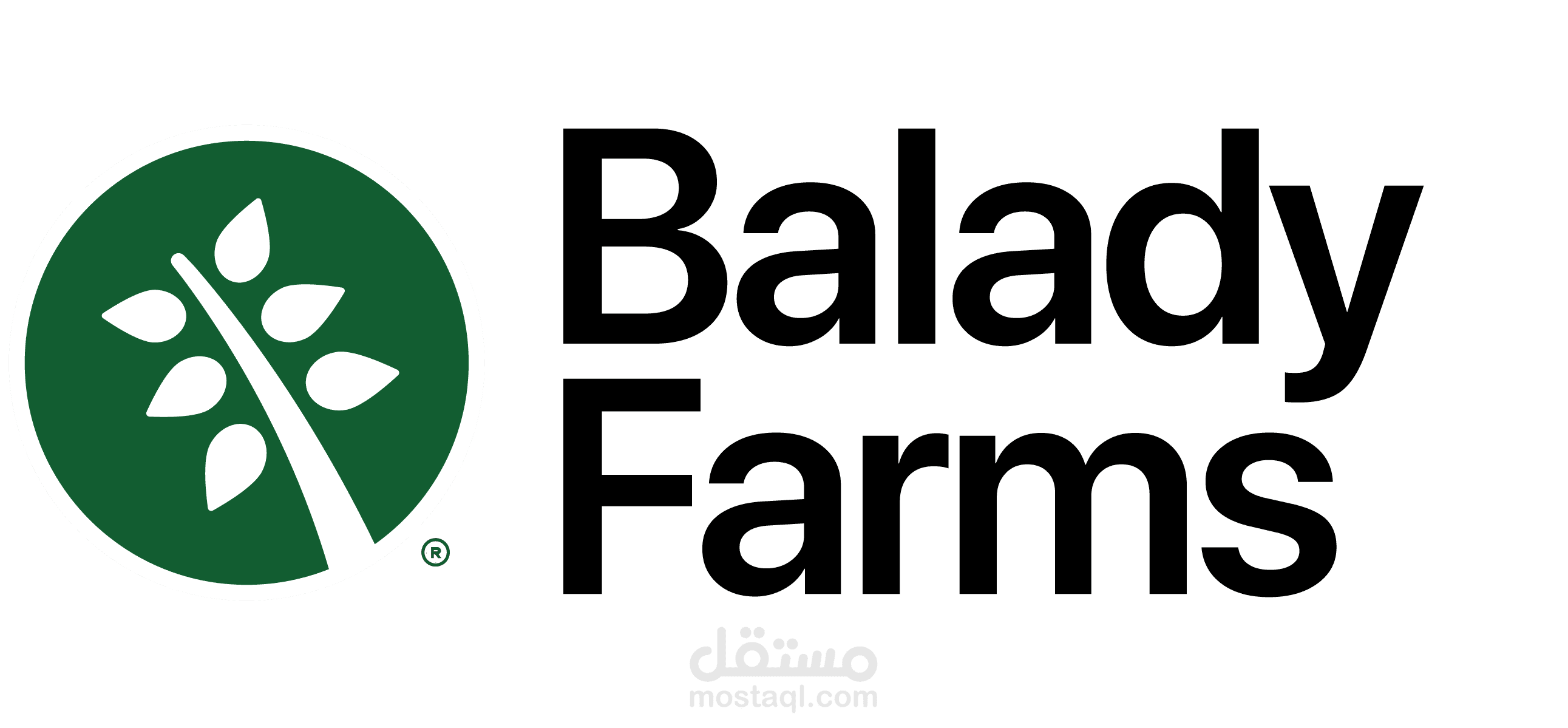 إدارة حسابات التواصل الاجتماعي