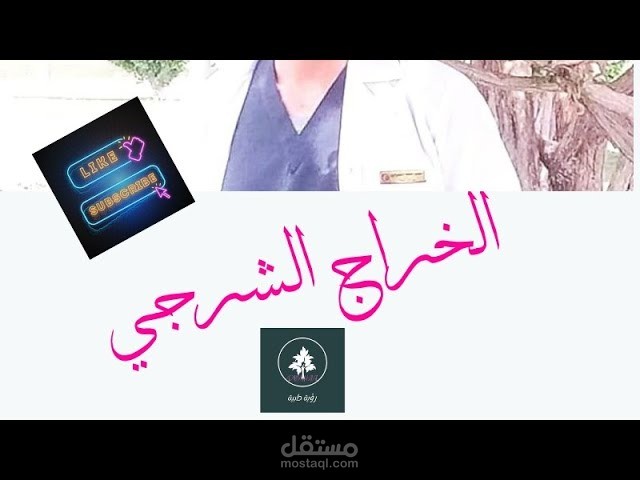 فيديو صوتي تعليمي