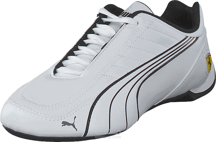 puma website