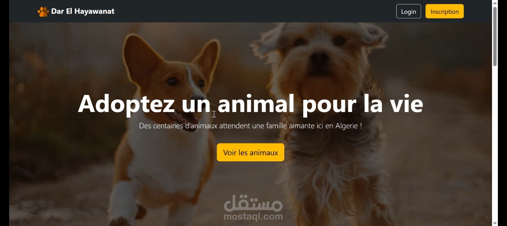 موقع تبني حيوانات