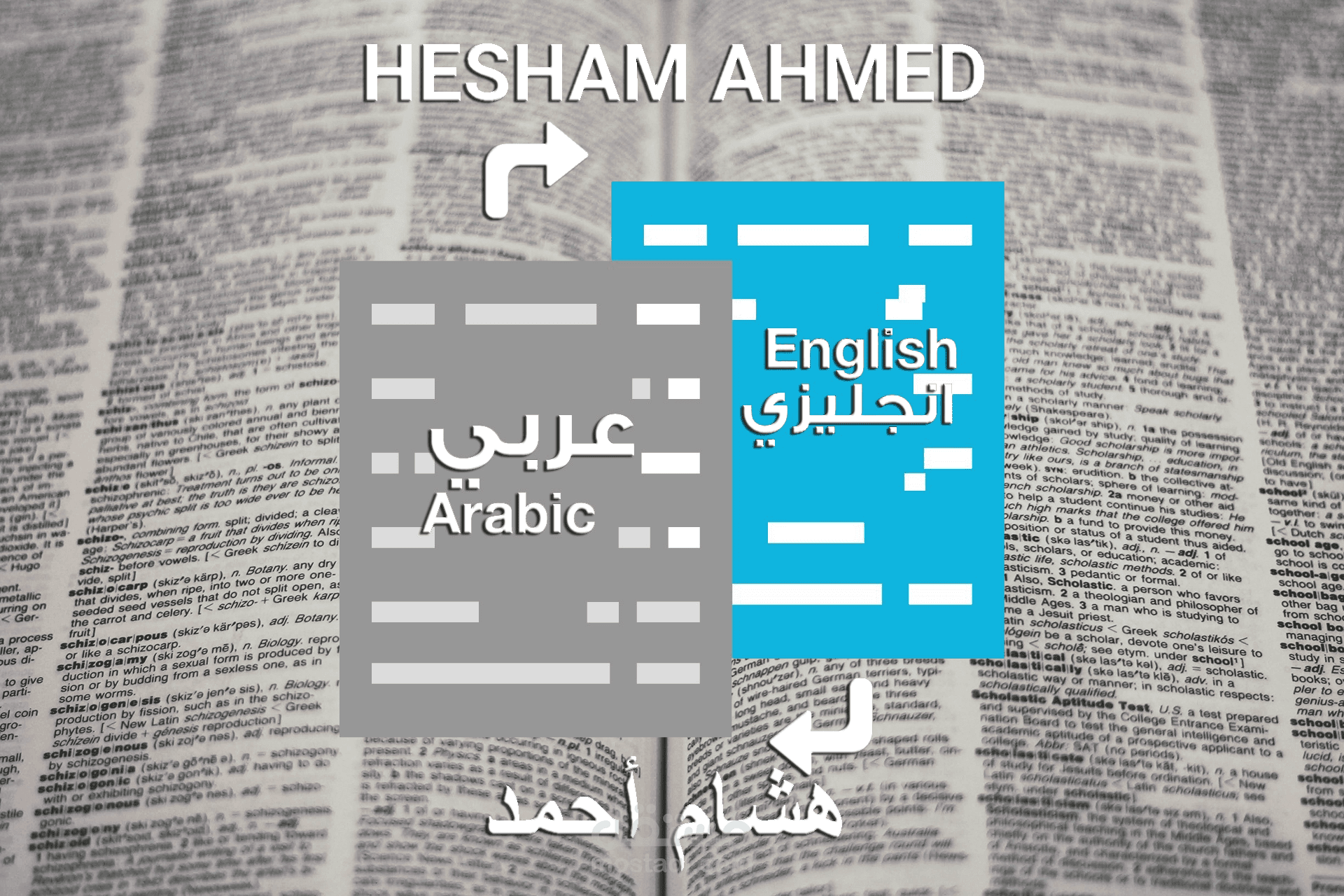 الترجمة الاحترافية من اللغة العربية إلى اللغة الإنجليزية ومن اللغة الإنجليزية إلى اللغة العربية