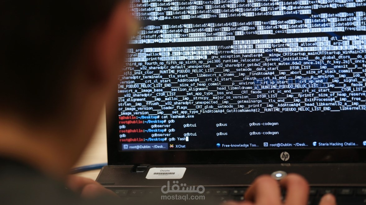 "اخترقوا الحكومة".. تفاصيل حبس "هاكرز" مصريين في الكويت