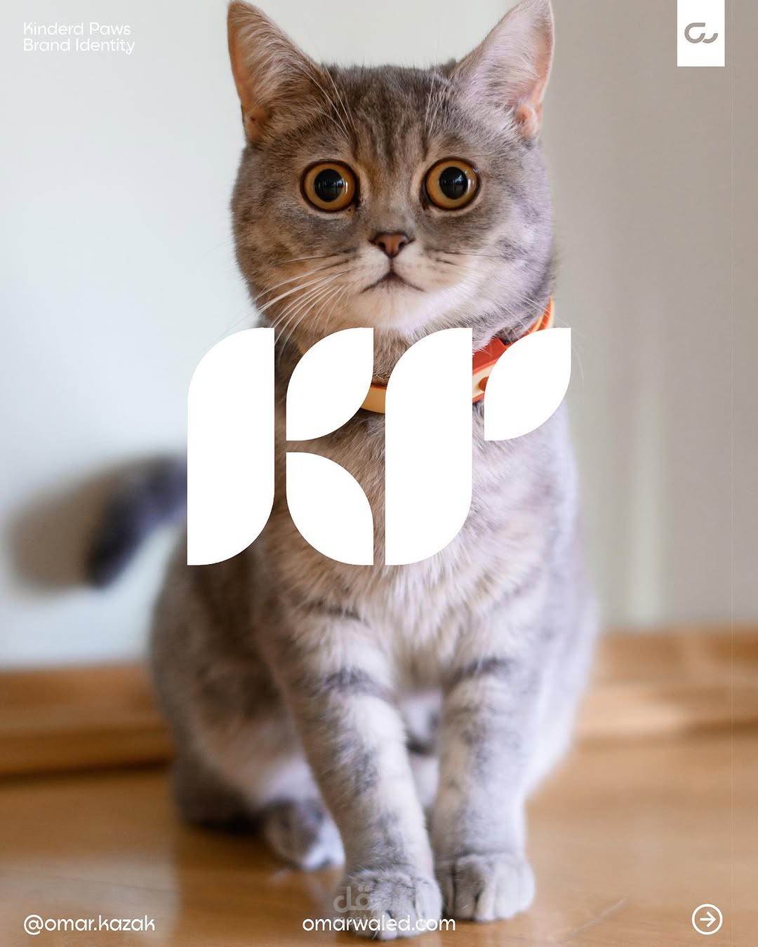 هوية بصرية لمركز رعاية حيوانات أليفة