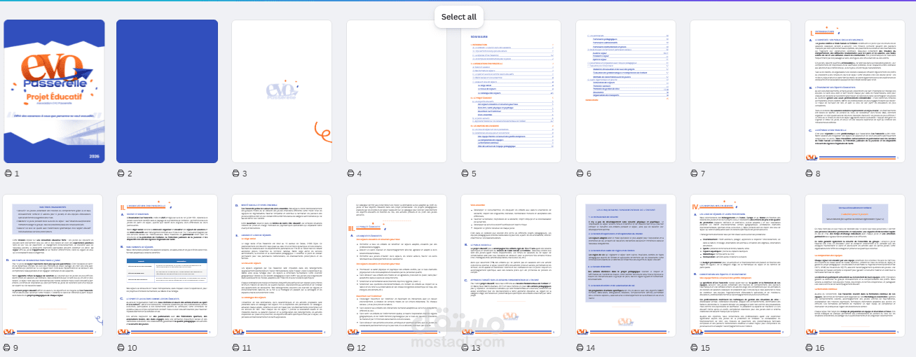 تحرير وصياغة الوثائق المؤسسية