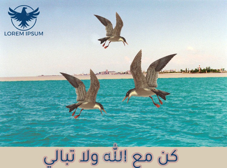 اعمالي على الفوتوشوب