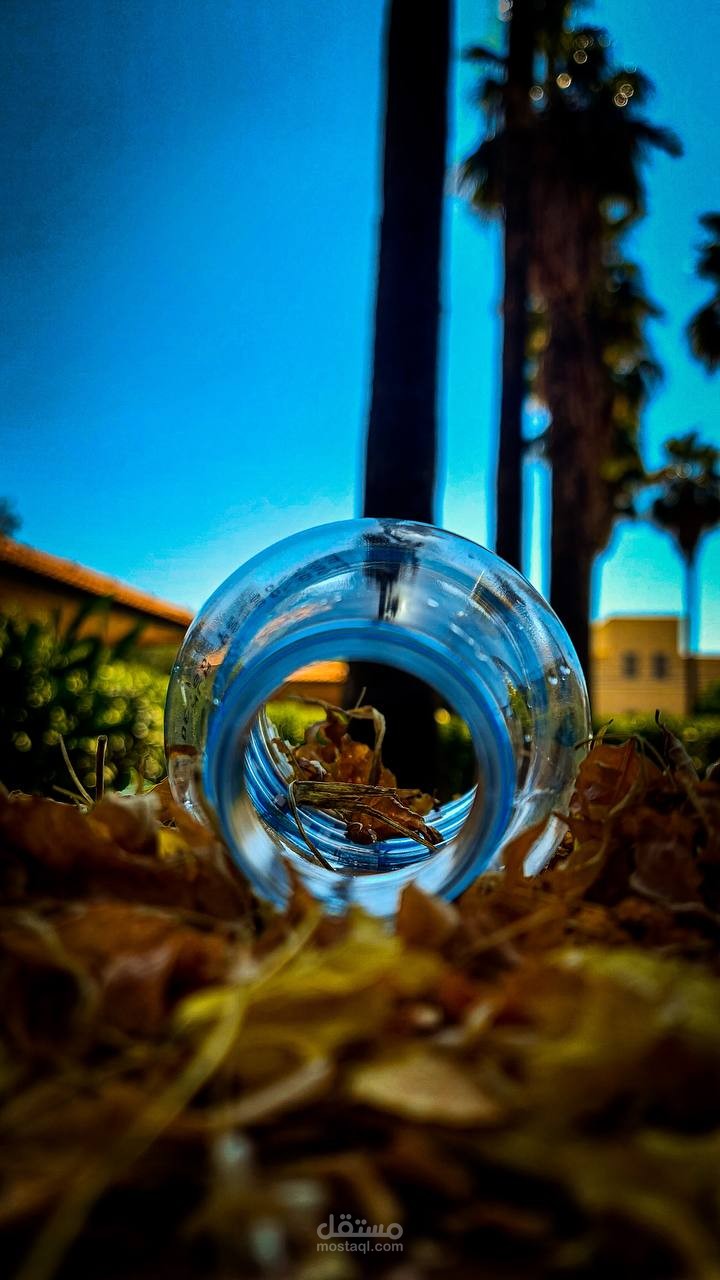 التصوير