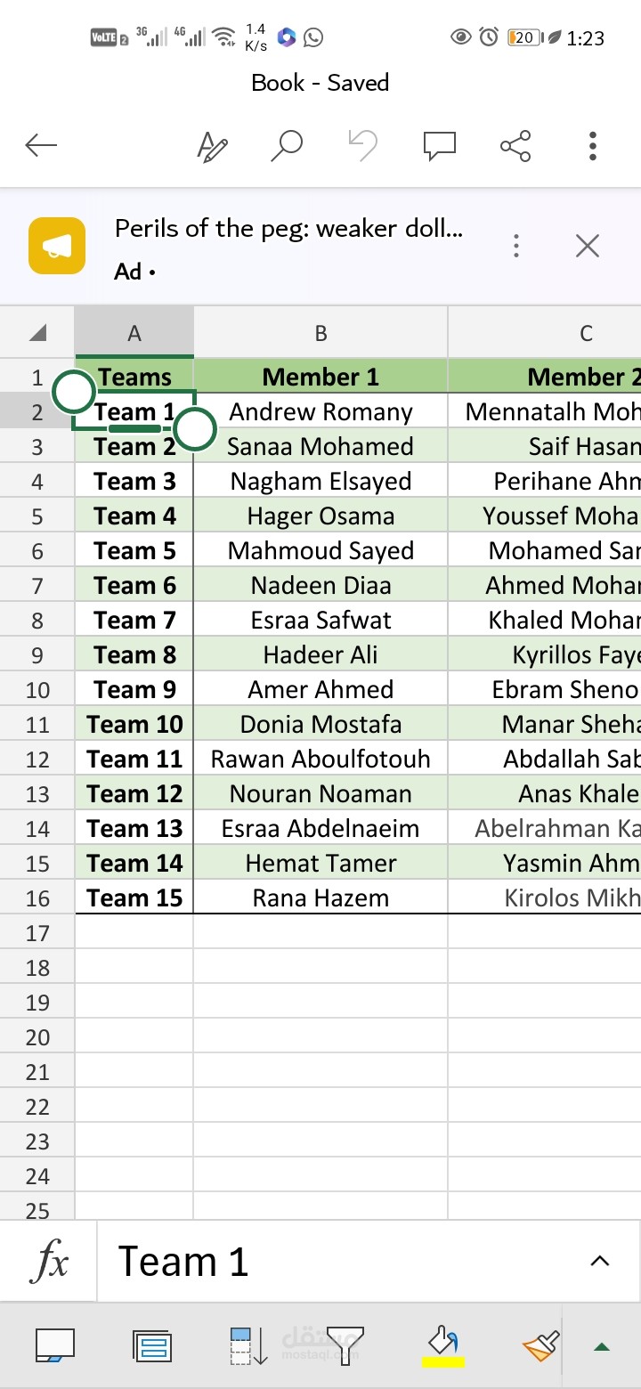 العمل على excel و تنظيمه بشكل دقيق