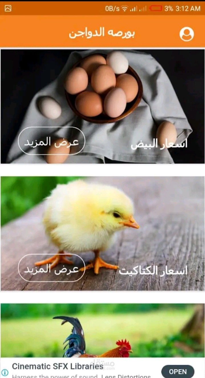 بورصة الدواجن المصرية