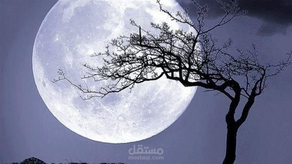 القمر بين حقائق علمية ووصف  الشعراء